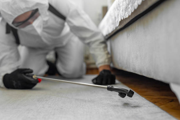 Professional Bed Bug Control technician working in Gas City, IN
