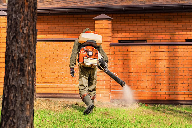 Trusted Bed Bug Control service in Gas City, IN - Nex Pest Control